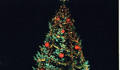 Olle’s alternativa adventskalender; lucka 7, 8 & 9