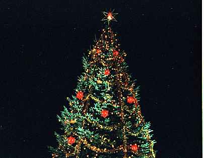 Olle’s alternativa adventskalender: Lucka 1, 2 & 3