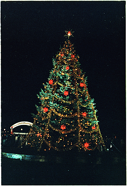 Olle’s alternativa adventskalender: Lucka 4, 5 & 6