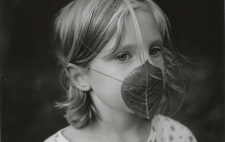 Novell: Sommaren på torpet