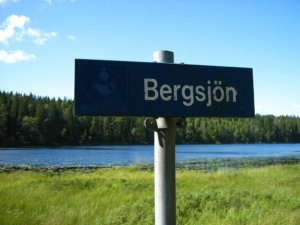 Foto: Blåbärsskog/Flickr/CC
