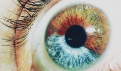 Liberalfascismens bruna skjorta