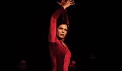 Flamenco av Maral Raham