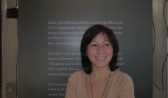 Hammarkullen 365: Bilden av en stadsdels historia