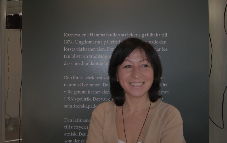 Hammarkullen 365: Bilden av en stadsdels historia