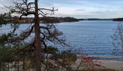 Varför sabbar vi allt vi rör vid?