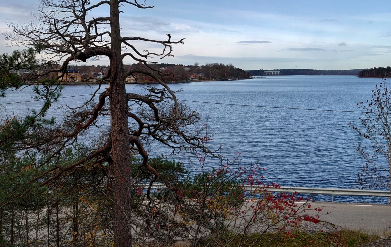 Varför sabbar vi allt vi rör vid?