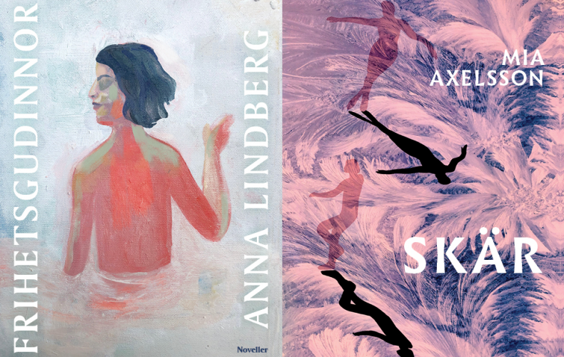 Bokrecension: Brustna tabun och symbiotisk lesbiskhet