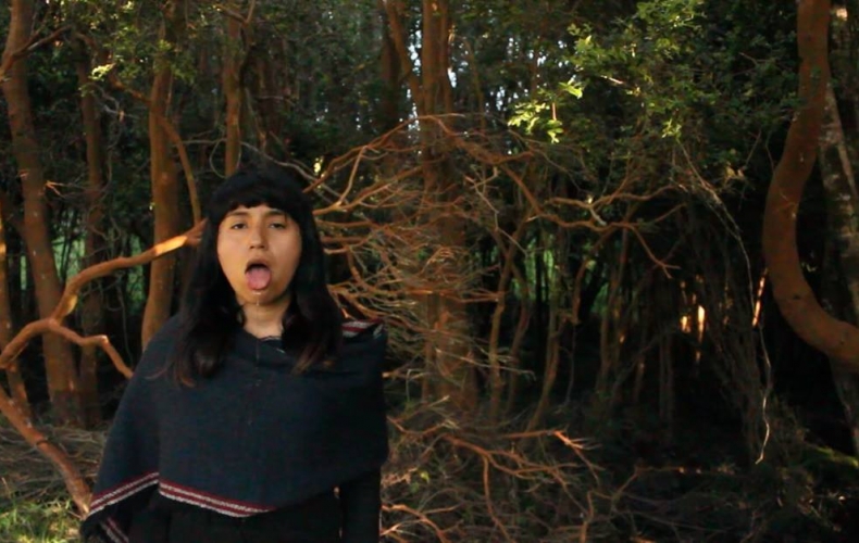 Encuesta por el 8 de marzo con Paula Baeza Pailamilla