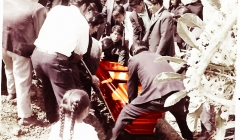 728/2194 por las coronas