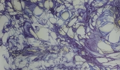 Om Corona, miljö och kultur